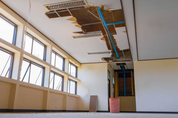 Best Basement water damage restoration  in Heathrow, FL