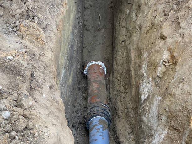 Best Sewage cleanup and water damage restoration  in Heathrow, FL