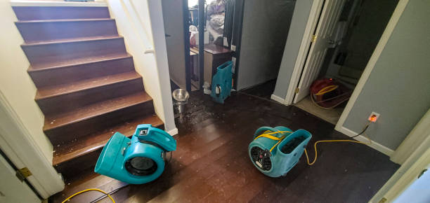 Best Water damage cleanup near me  in Heathrow, FL