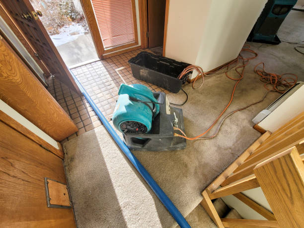 Best Flood damage cleanup  in Heathrow, FL