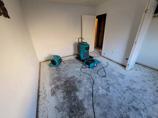 Best Mold removal after water damage  in Heathrow, FL