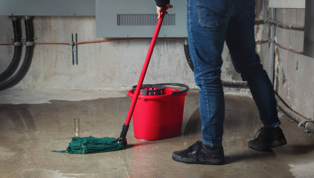 Best Professional water damage repair  in Heathrow, FL