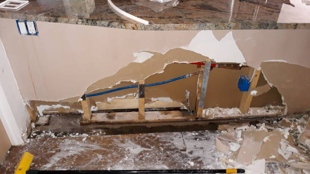 Best Water damage contractors near me  in Heathrow, FL