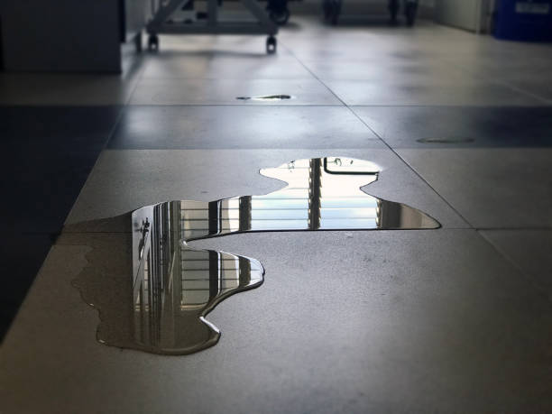 Best Flood damage cleanup  in Heathrow, FL