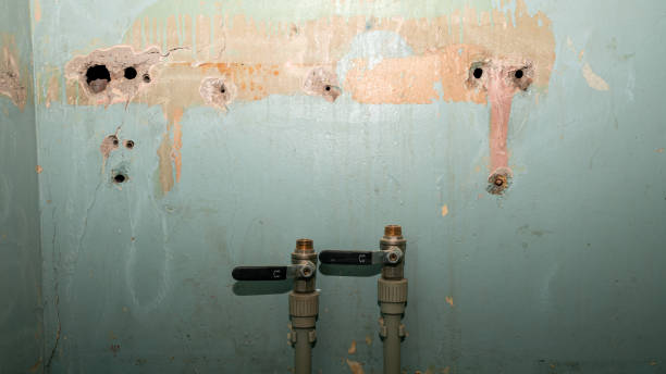 Best Residential water damage restoration  in Heathrow, FL