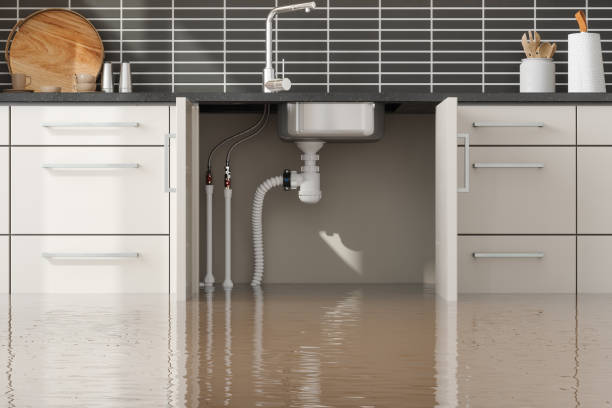 Best Carpet water damage restoration  in Heathrow, FL