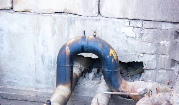 Best Water damage contractors near me  in Heathrow, FL