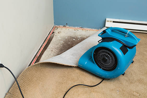 Best Water damage restoration near me  in Heathrow, FL